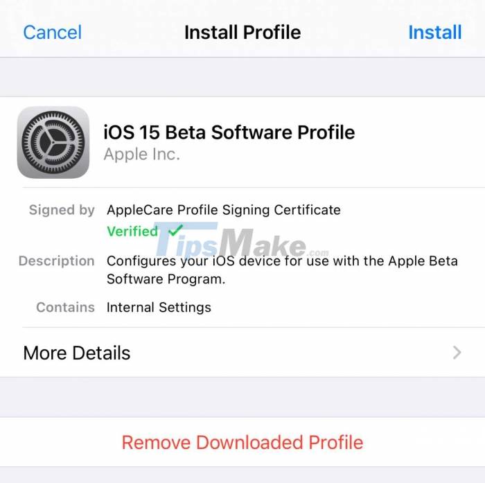 Picture 8 of Apple rolls out iOS 15 Beta 3, here's how to install