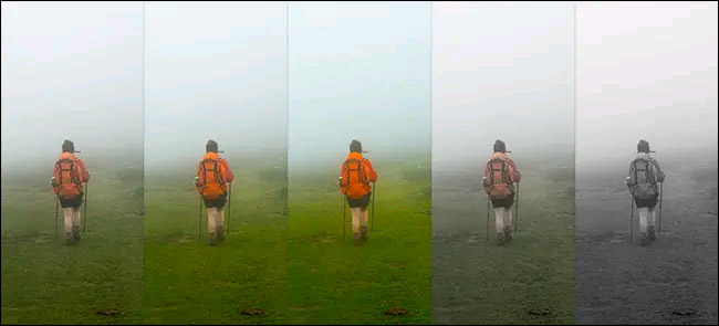 Compare Saturation and Vibrance in Photoshop Lightroom Picture 2