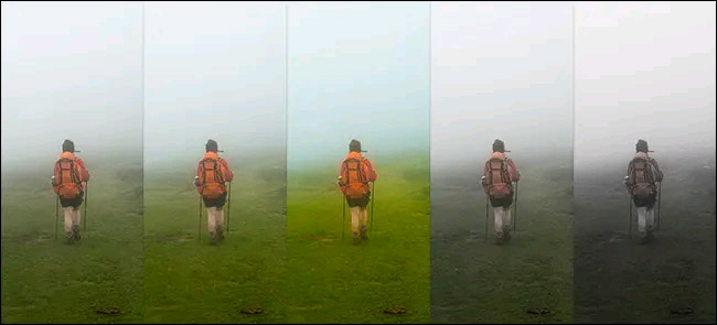 Compare Saturation and Vibrance in Photoshop Lightroom Picture 3