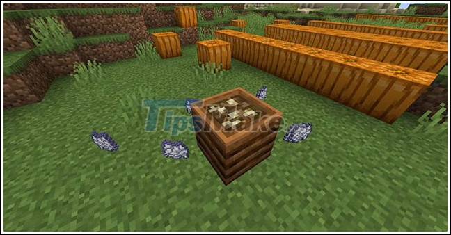 Cool things you can do with Pumpkin in Minecraft Picture 6