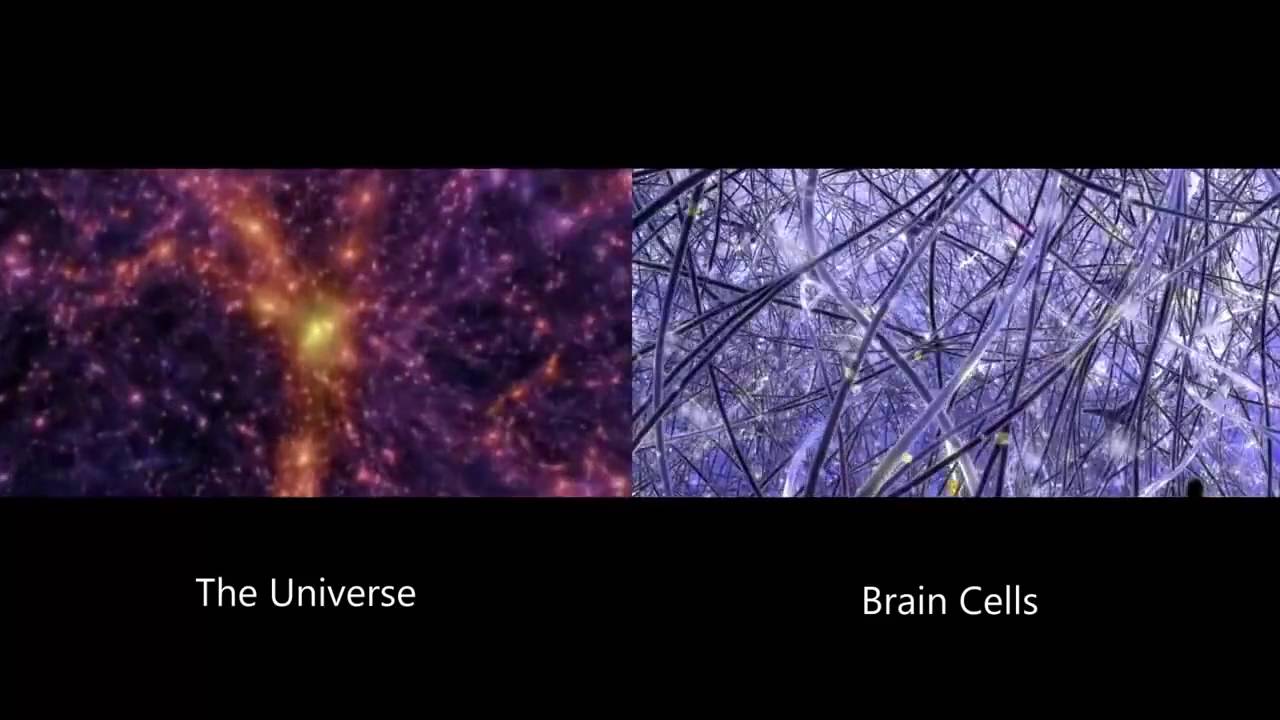 Deciphering the mystery of consciousness, the human brain can work in 11 dimensions Picture 2