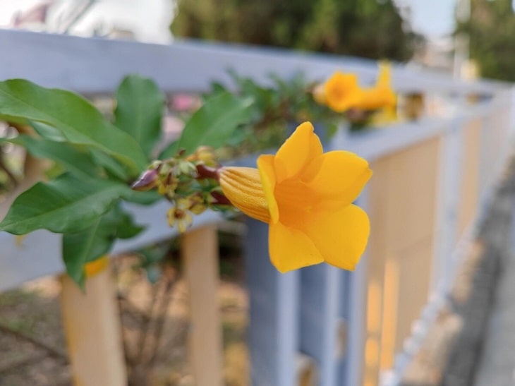 Detailed camera review of the Xiaomi Mi 11 Ultra Picture 11