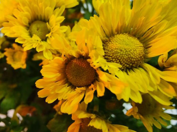 Detailed review of OPPO Find X3 Pro 5G: A big step forward! Picture 21