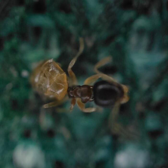 Detailed review of OPPO Find X3 Pro 5G: A big step forward! Picture 28