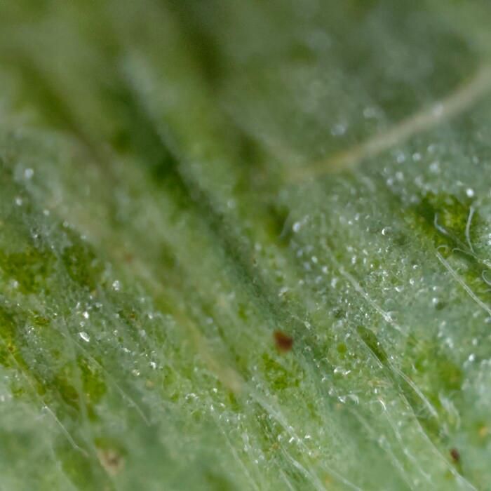 Detailed review of OPPO Find X3 Pro 5G: A big step forward! Picture 29