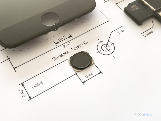 'Dissecting' iPhone 2 to iPhone 7 to see that Apple was very meticulous when designing iphone! Picture 18