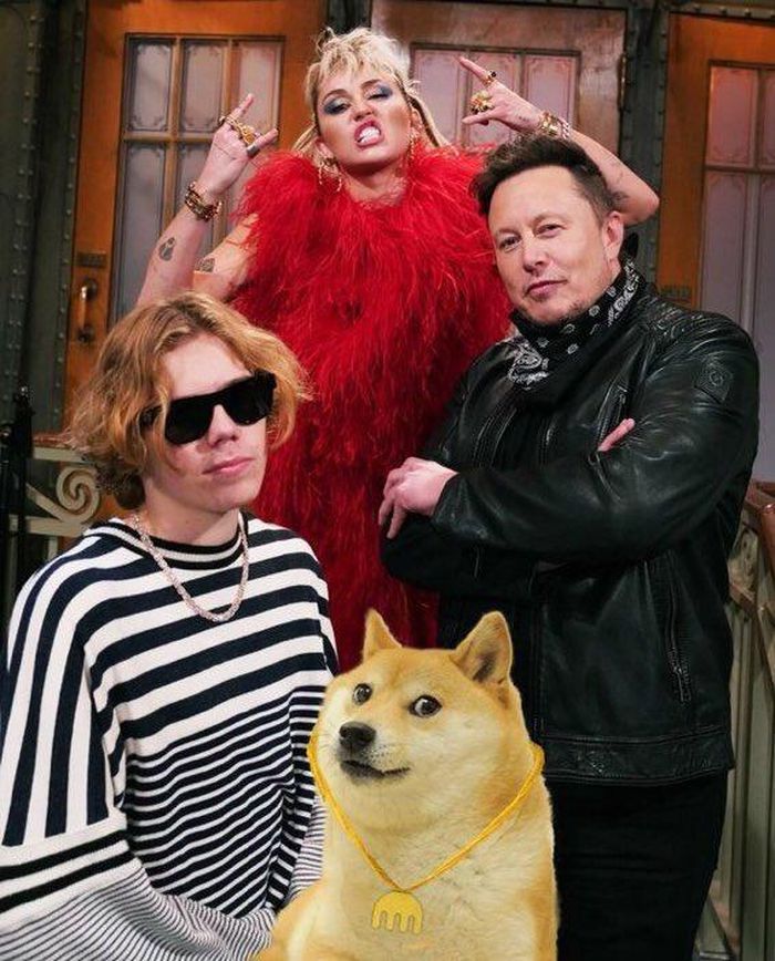 Dogecoin increased in record price Picture 2