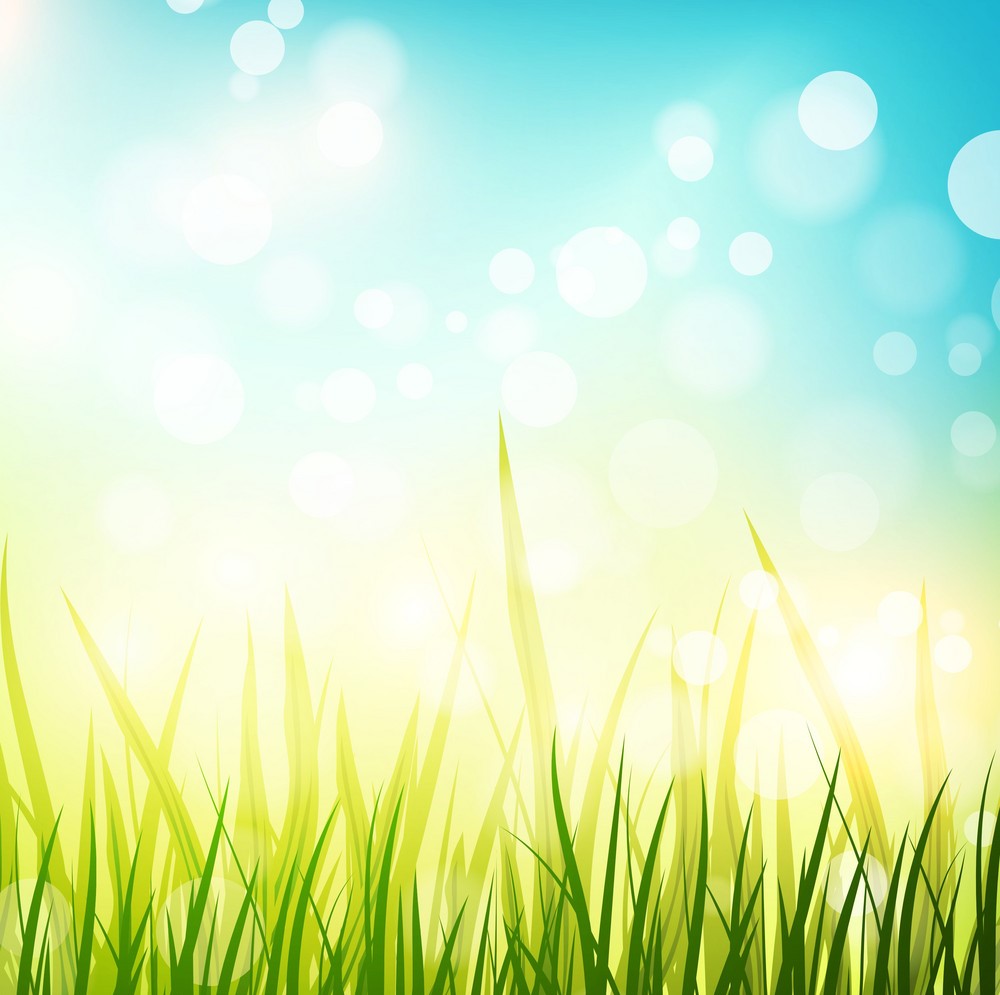 Download Beautiful Summer Background Picture 18