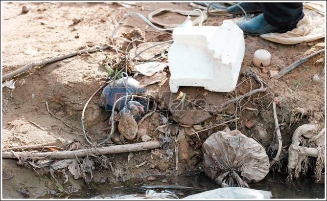 Fujifilm X-E4 Quick Review: Much changed compared to previous generations, but in a positive or negative direction? Picture 29