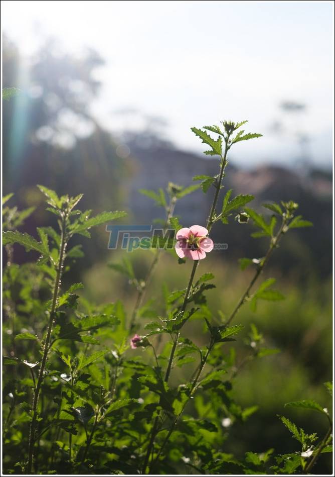 Fujifilm X-E4 Quick Review: Much changed compared to previous generations, but in a positive or negative direction? Picture 34