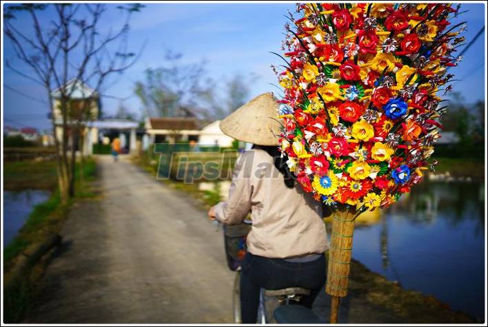 Full-Frame FE 33MM F1.4 GM lens from Sony Picture 8