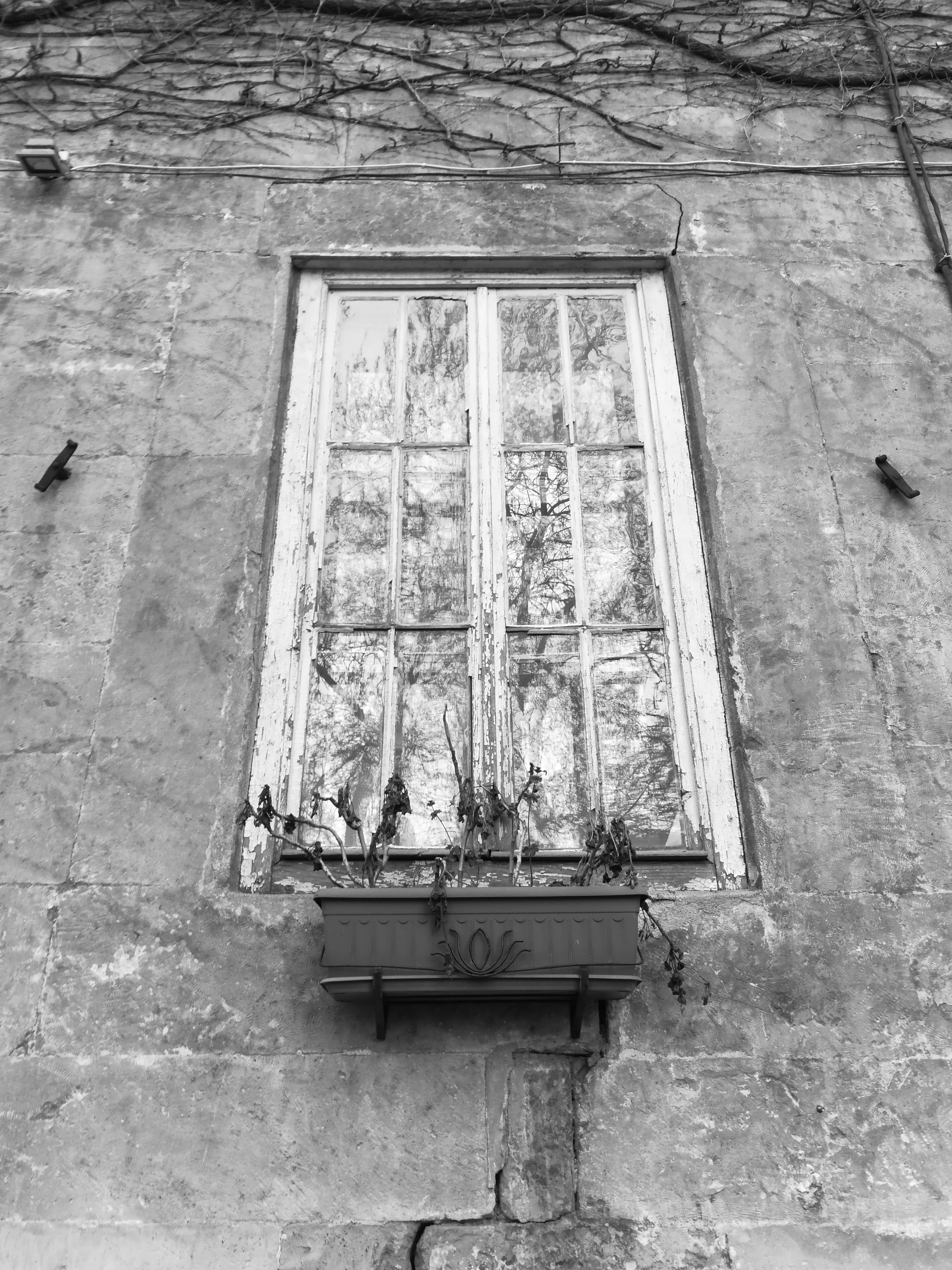 How does Google Photos work? How to make the most of 15GB of free storage? Picture 10