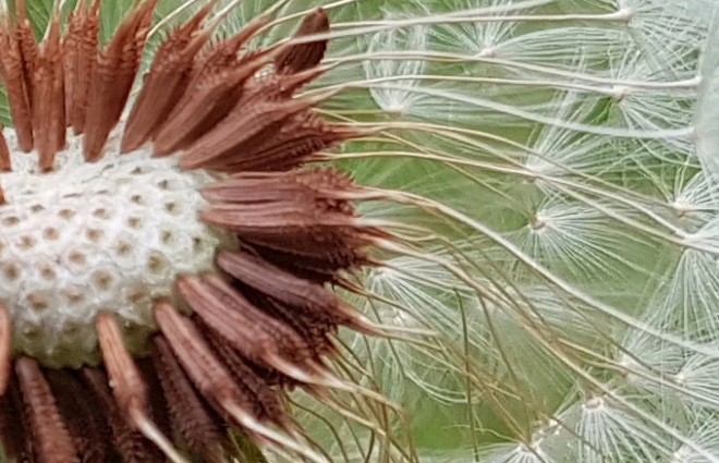 How does Google Photos work? How to make the most of 15GB of free storage? Picture 3