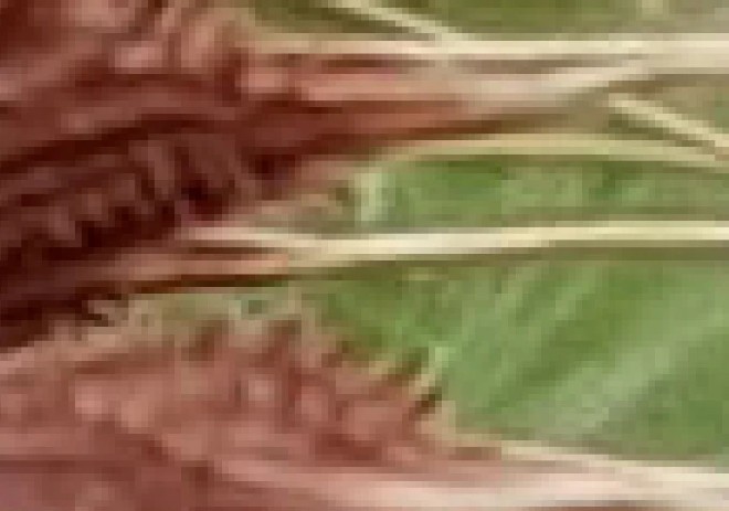 How does Google Photos work? How to make the most of 15GB of free storage? Picture 6