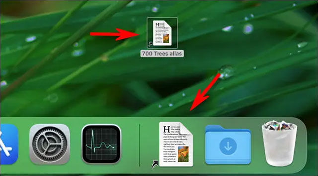 How to Create a Shortcut (Alias) for a File or Folder on Mac Picture 4