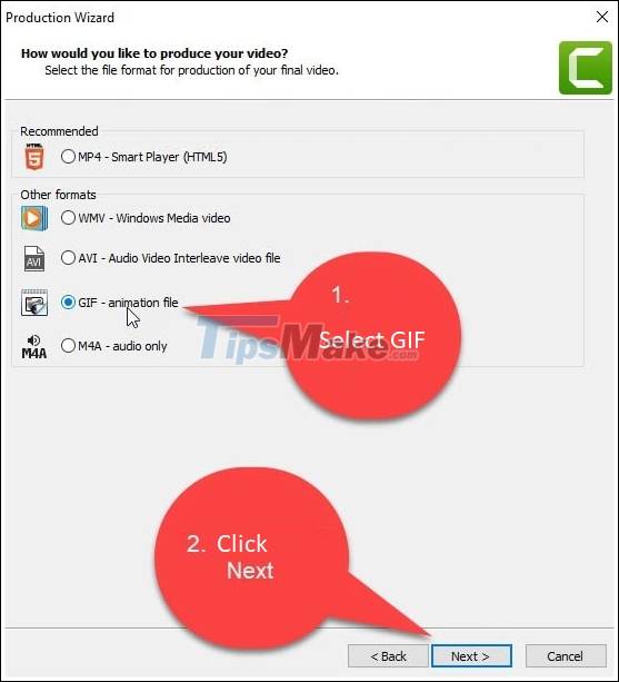 How to create animations from videos using Camtasia software Picture 9