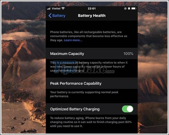 How to diagnose and fix error iPhone restarts continuously Picture 10
