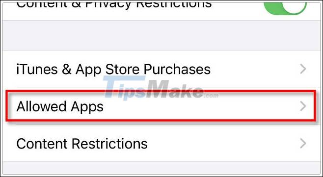 How to disable the camera on iPhone or iPad Picture 5