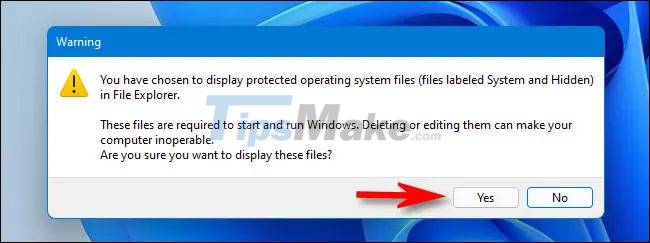 How to display protected operating system files in Windows 11 Picture 7