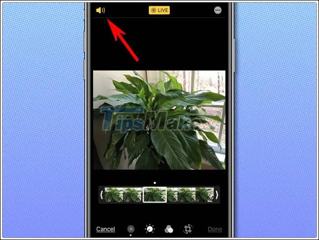 How to extract audio from Live Photo on iPhone Picture 4