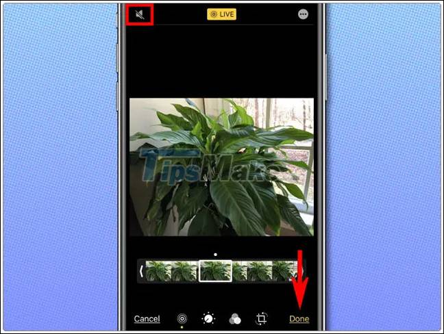 How to extract audio from Live Photo on iPhone Picture 5