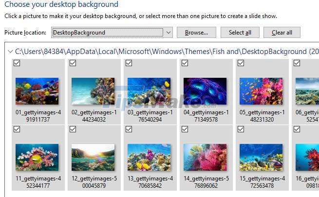 How to fix Windows Spotlight unchanged on Windows 10 Picture 14