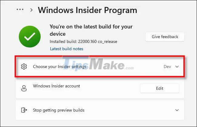How to switch between Dev Channel and Beta Channel on Windows 11 Picture 4
