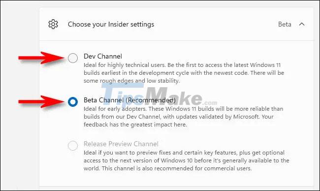 How to switch between Dev Channel and Beta Channel on Windows 11 Picture 5