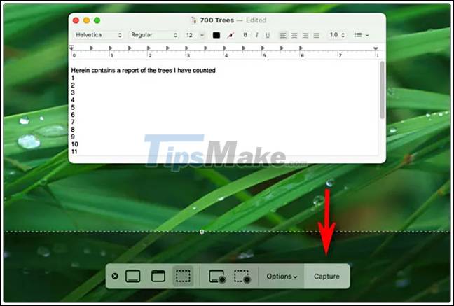 How to take a screenshot on a Mac without using the keyboard Picture 5