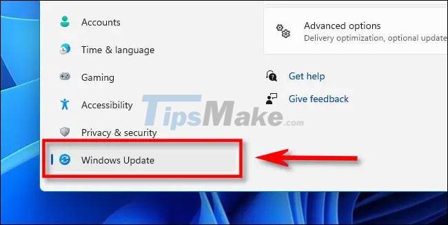 Instructions for updating on Windows 11 Picture 4