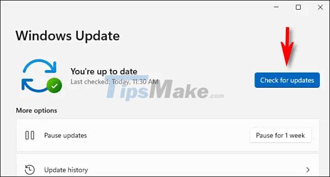 Instructions for updating on Windows 11 Picture 5