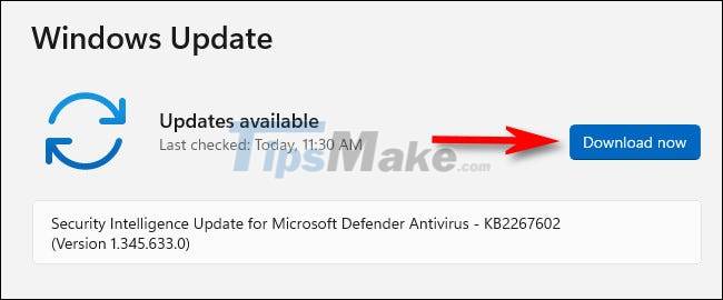 Instructions for updating on Windows 11 Picture 6