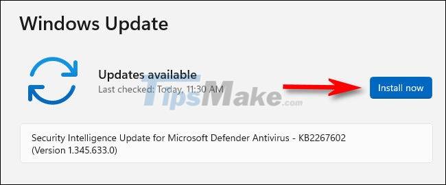 Instructions for updating on Windows 11 Picture 7