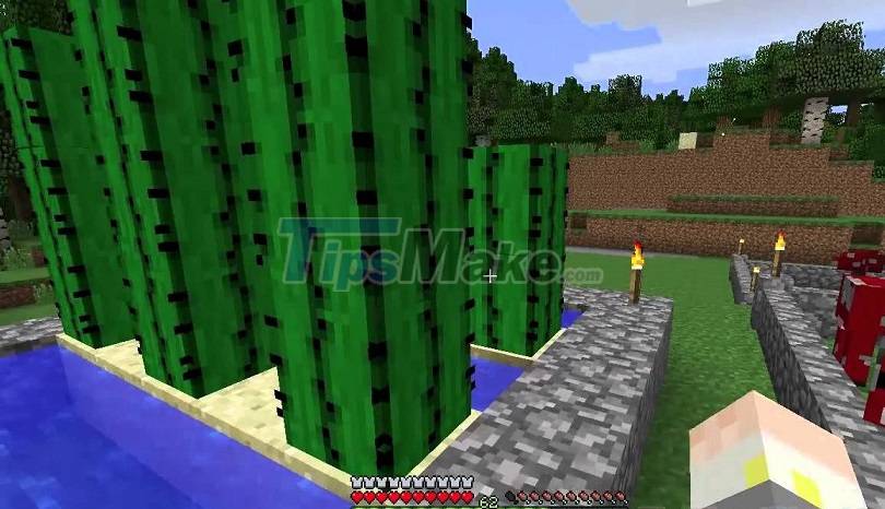 learn about 39 enchantments in Minecraft Picture 38
