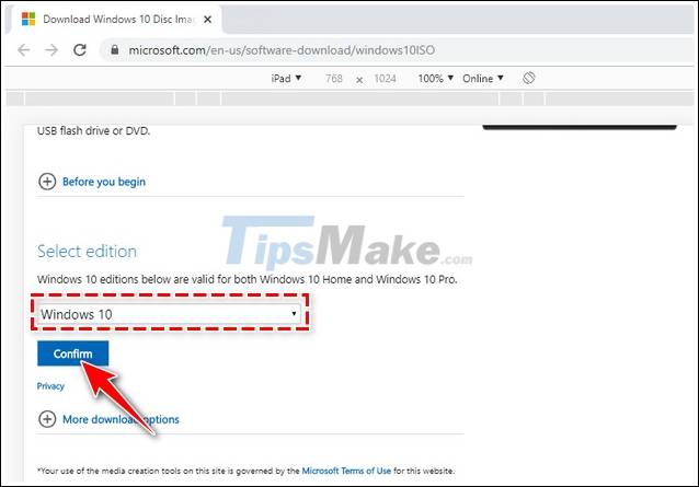 Link to download the ISO file Windows 10 20H1 directly from Microsoft Picture 3