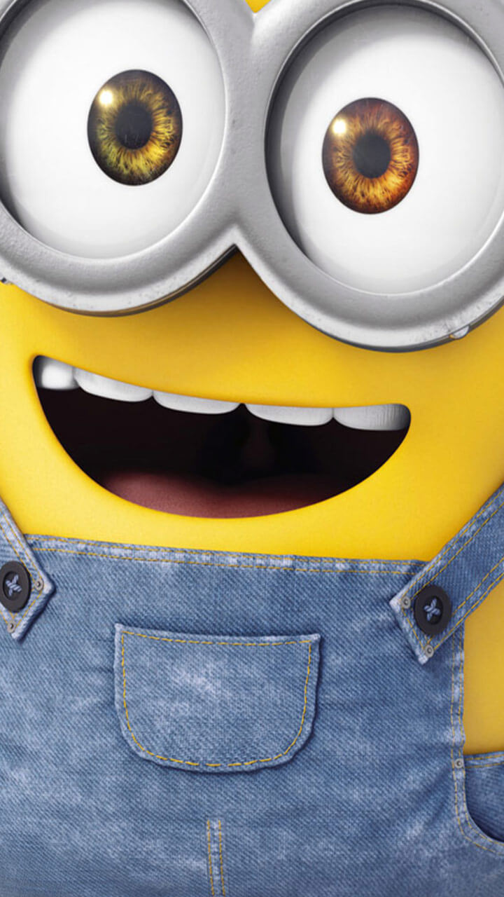 Minion wallpapers, Minion wallpapers for your phone Picture 24