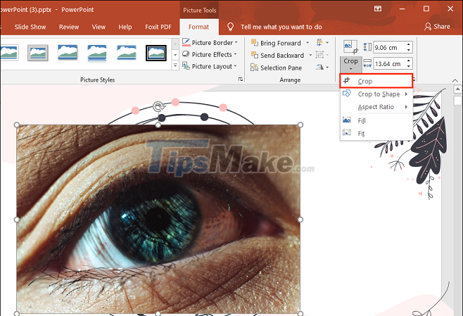 Steps to crop images in PowerPoint Picture 4