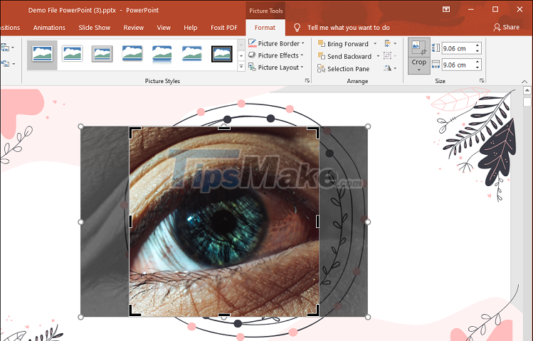 Steps to crop images in PowerPoint Picture 9