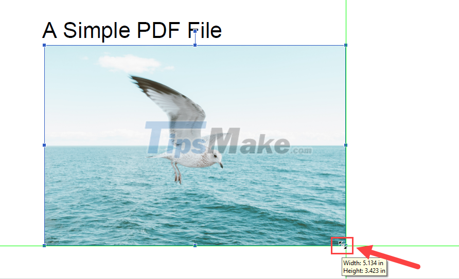 Picture 10 of Steps to insert images into PDF files