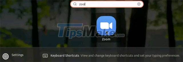 Steps to install Zoom on Ubuntu 20.04 Picture 3