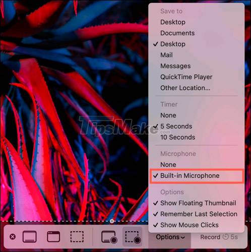 Steps to record screen video on Mac Picture 6