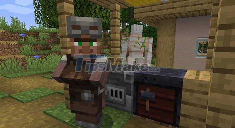 Things you don't know about villages and villagers in Minecraft Picture 6