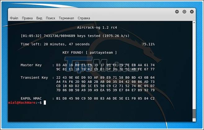 Top 10 best pentest tools 2021 Picture 3
