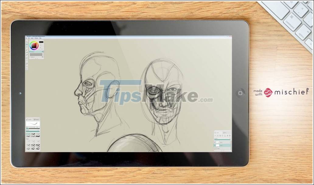 Top 20 best graphic design software in 2021 Picture 20