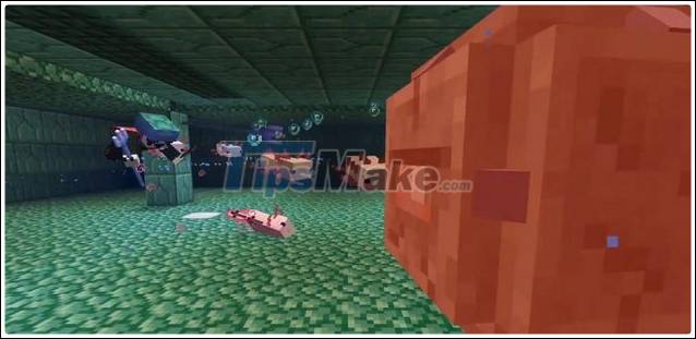 Update details for Minecraft Caves and Cliffs Picture 3