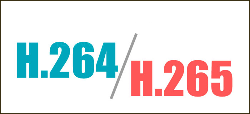 What are H.264 files? Software that supports reading popular H.264 files Picture 25