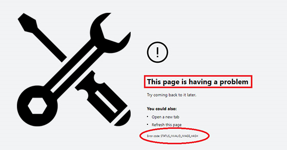 How to fix status_ invalid_ image_ hash error on Microsoft