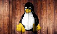 6 best Linux distros for gaming