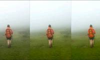 Compare Saturation and Vibrance in Photoshop Lightroom