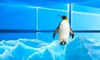 Difference between Windows and Linux - The battle is fierce